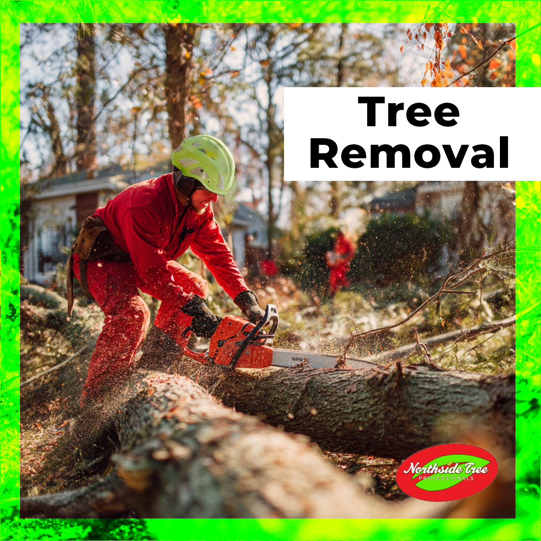 Northside Tree Professionals