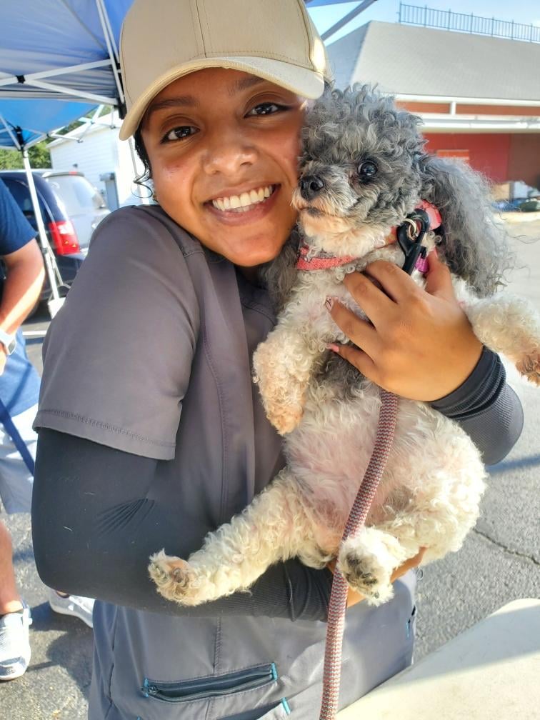 Low Cost Pet Vax Veterinarian ad creative