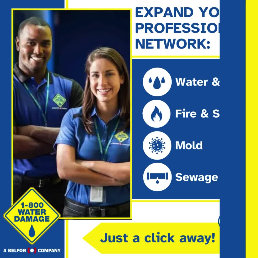 1-800 WATER DAMAGE Water Damage Restoration ad creative