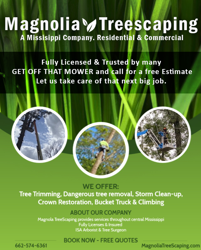 Magnolia Treescaping