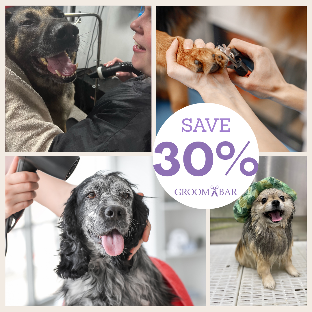 SAVE 30% - Happy Pet Right at your Doorstep.