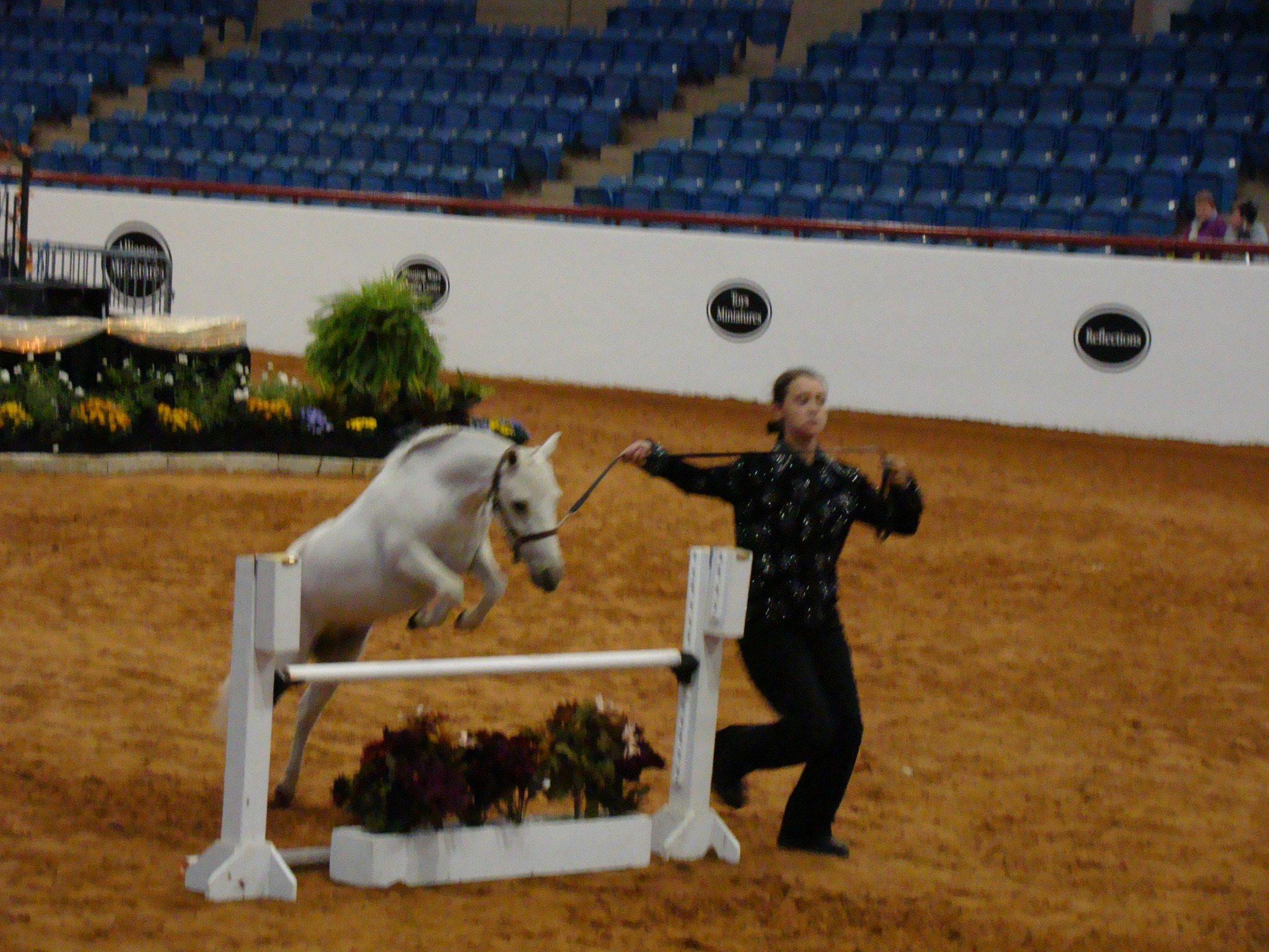 Book a horseback riding lesson!