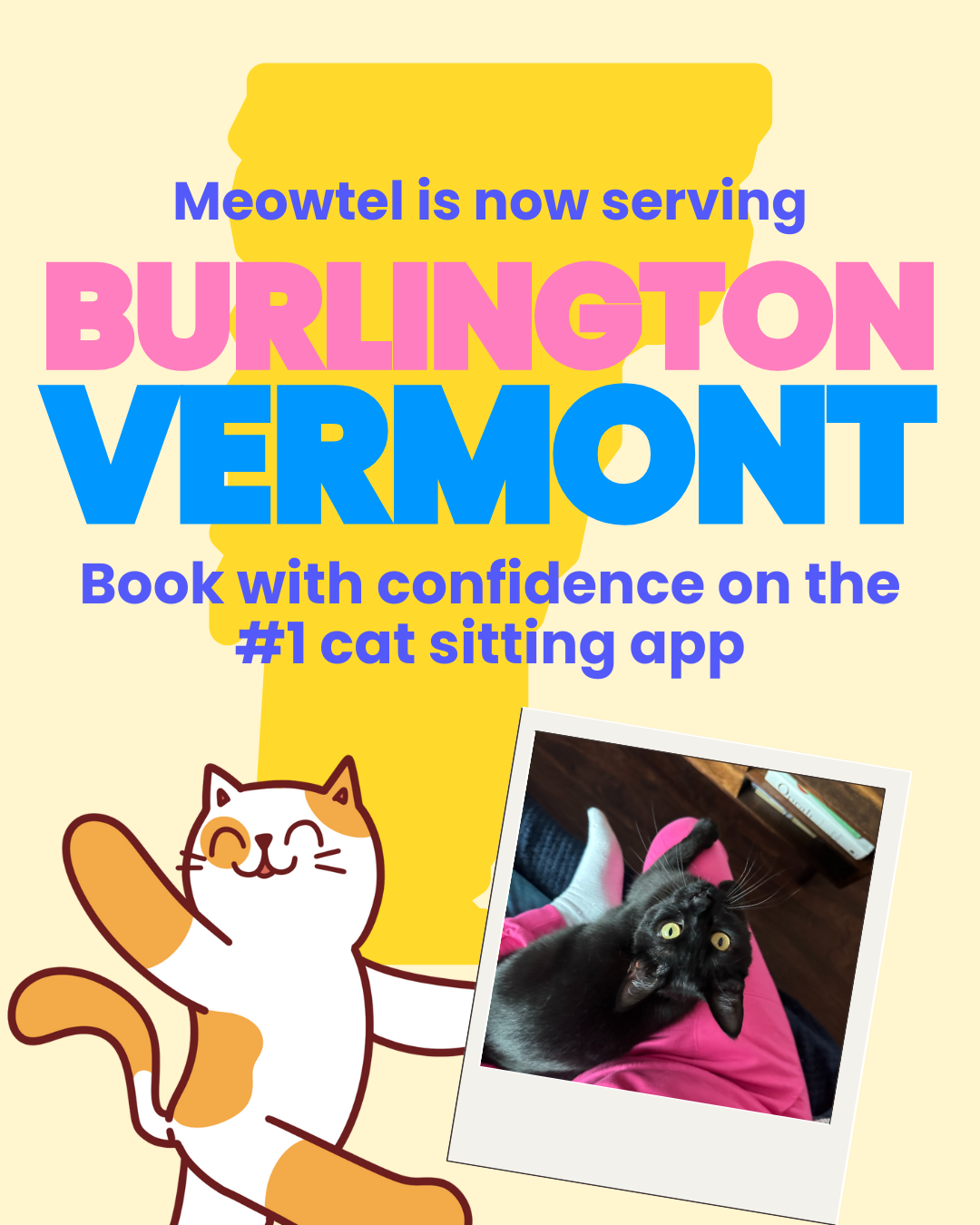 Find a loving cat sitter now