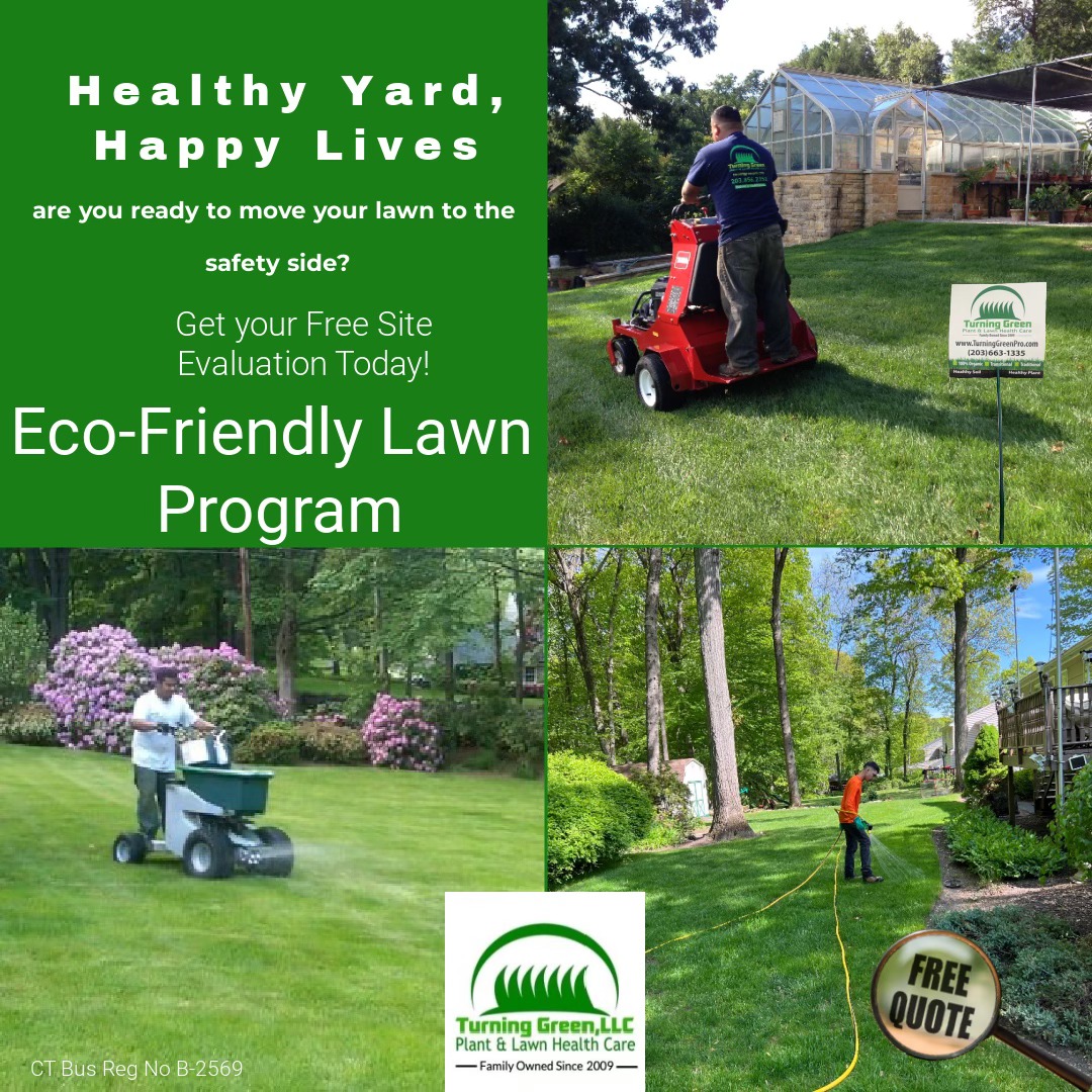 Turning Green LLC Plant and Lawn Health Care Lawn Care ad creative