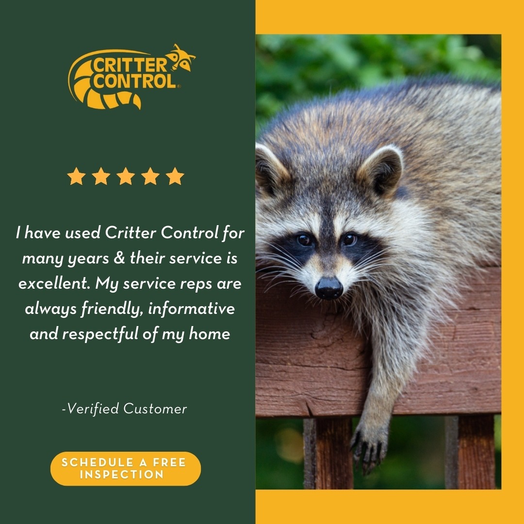 Critter Control Pest Control ad creative