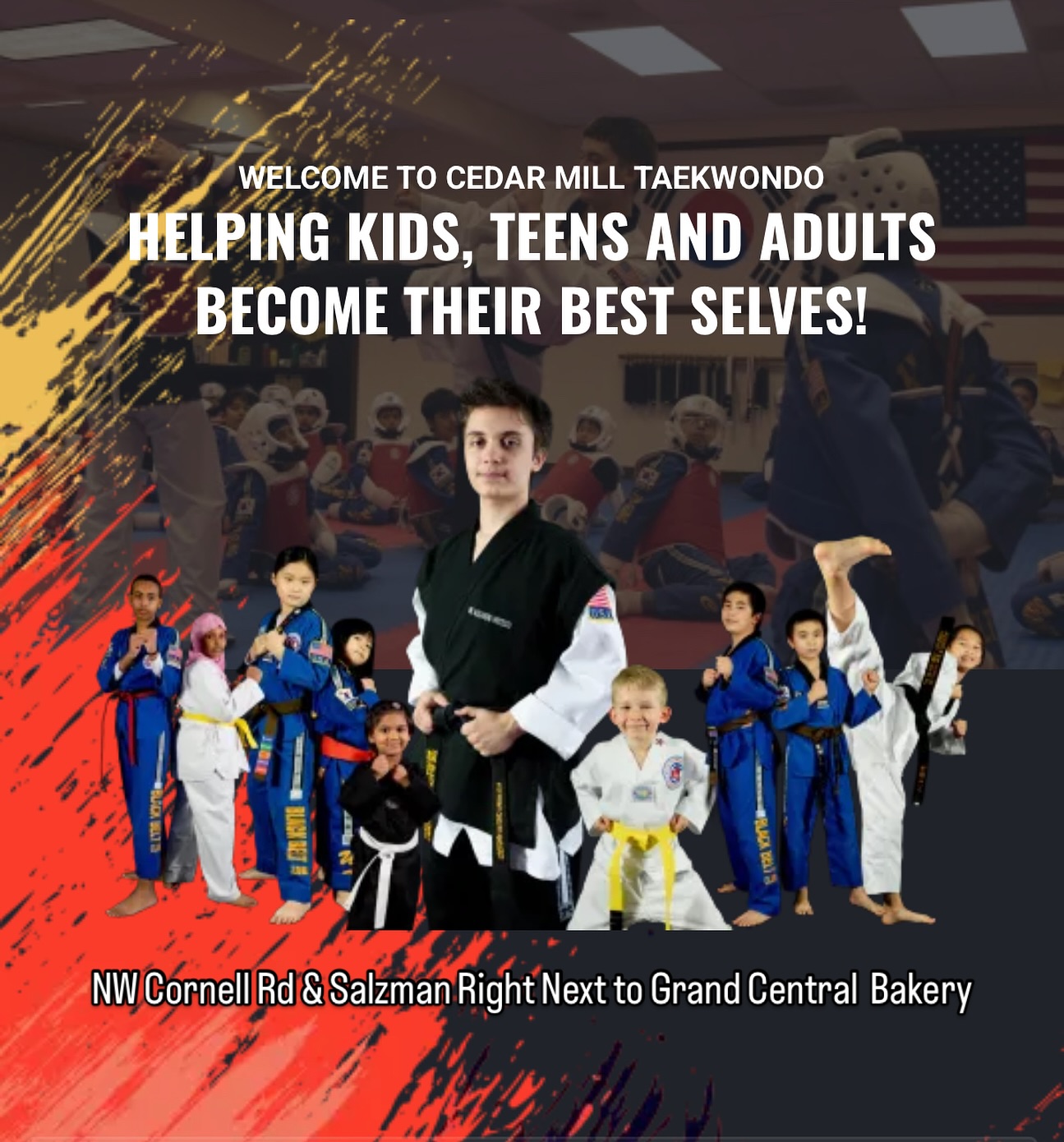 Cedar Mill World Class Taekwondo Martial Arts ad creative