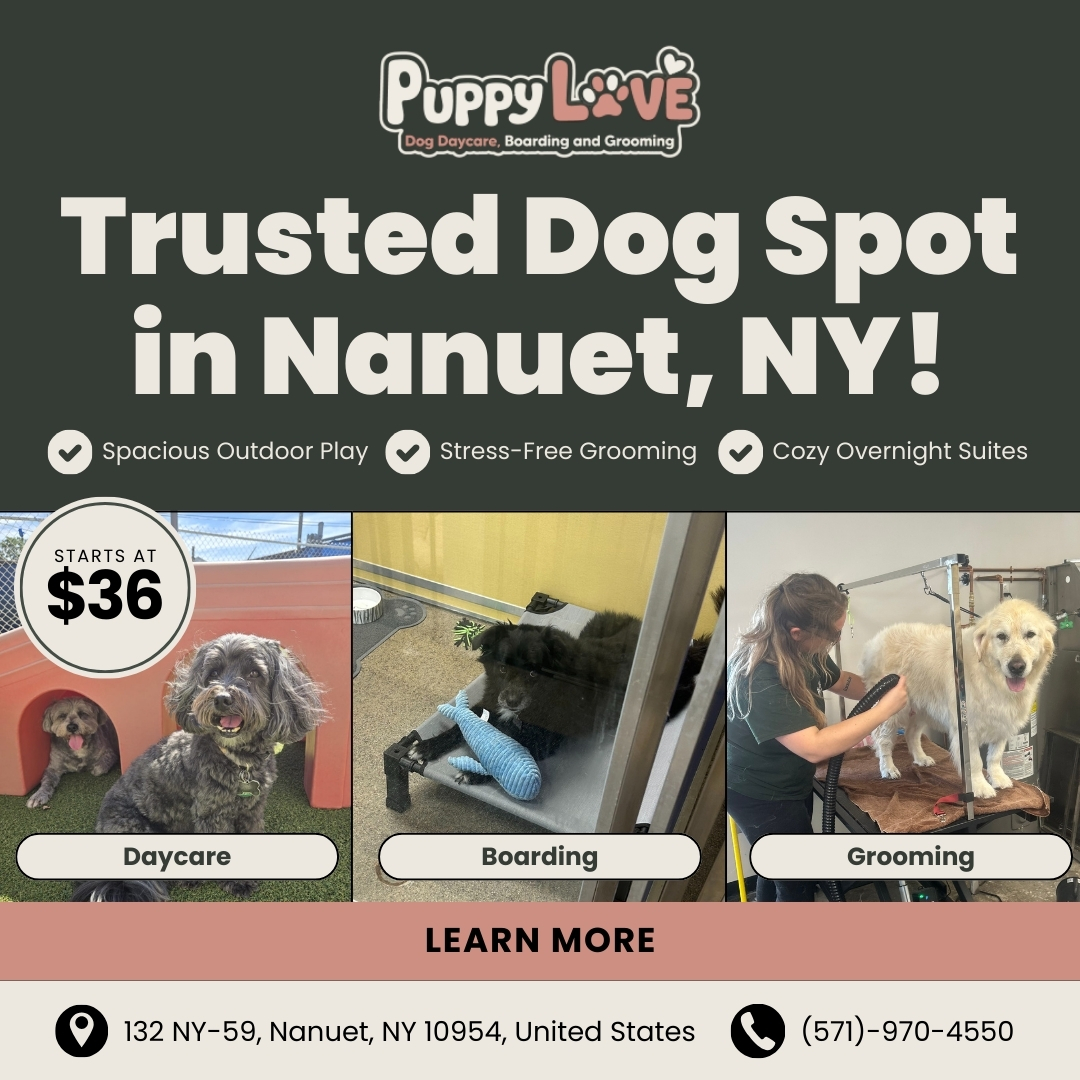 Today's Pet Care Pet Boarding ad creative