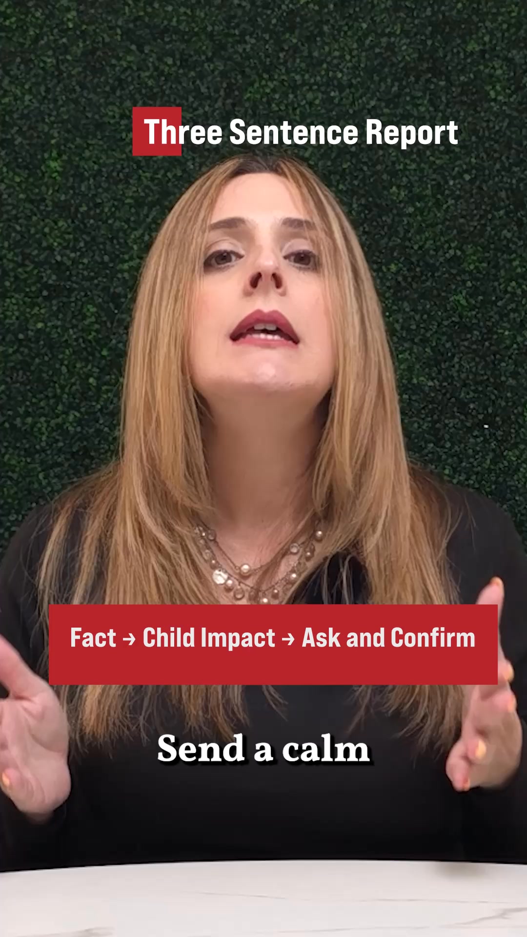 Annette Sanchez Law, P.A. Family Law ad creative