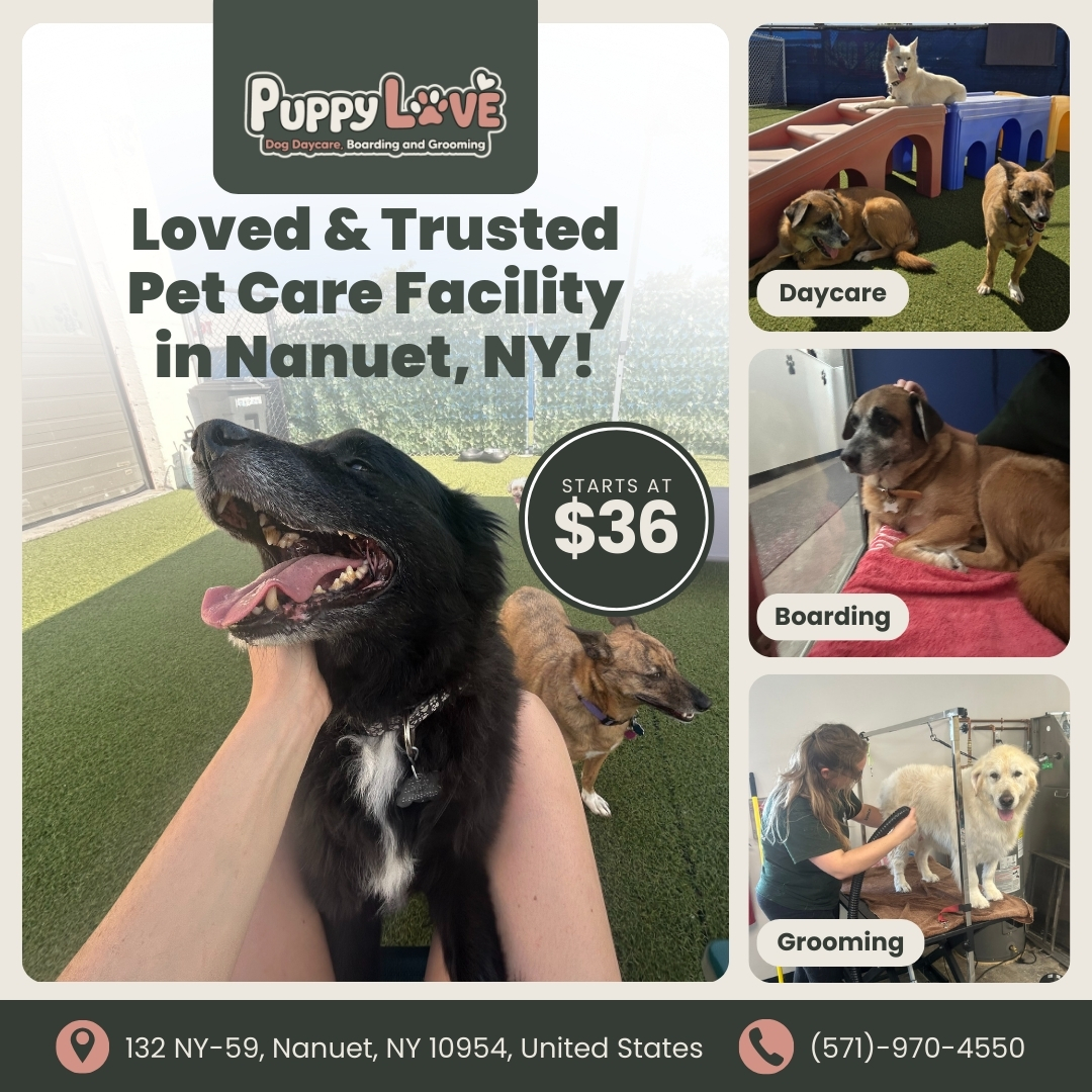 Today's Pet Care Pet Boarding ad creative