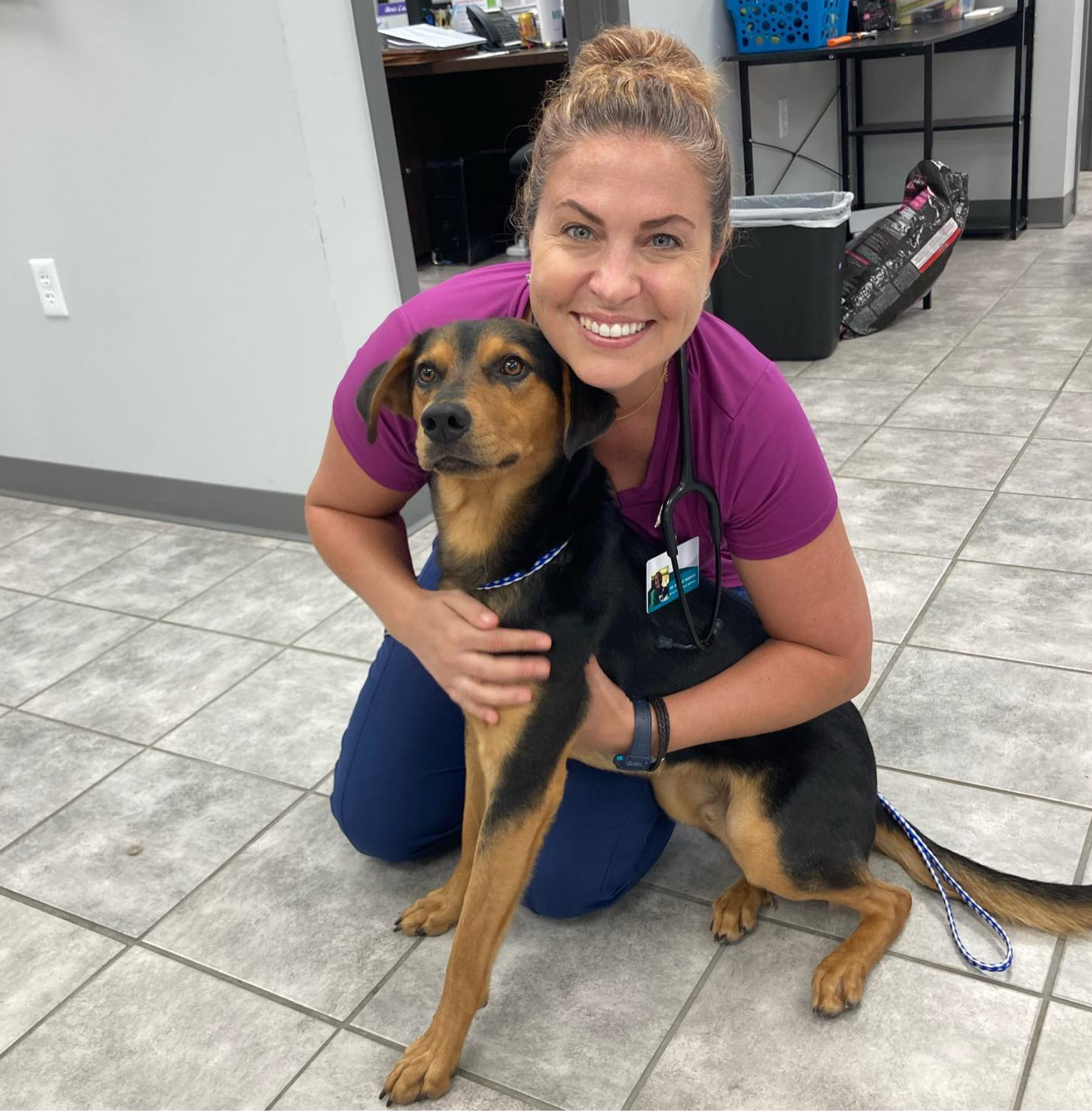 CityPets Animal Hospital Veterinarian ad creative