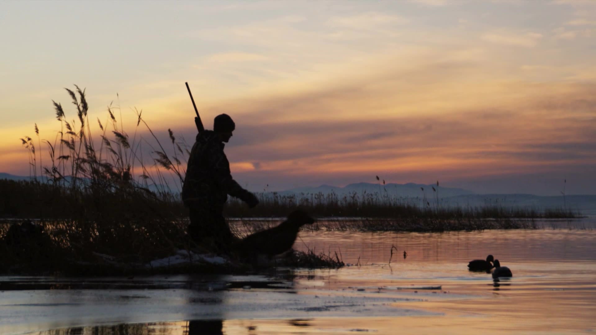 Arrange Services Now - Contact Us