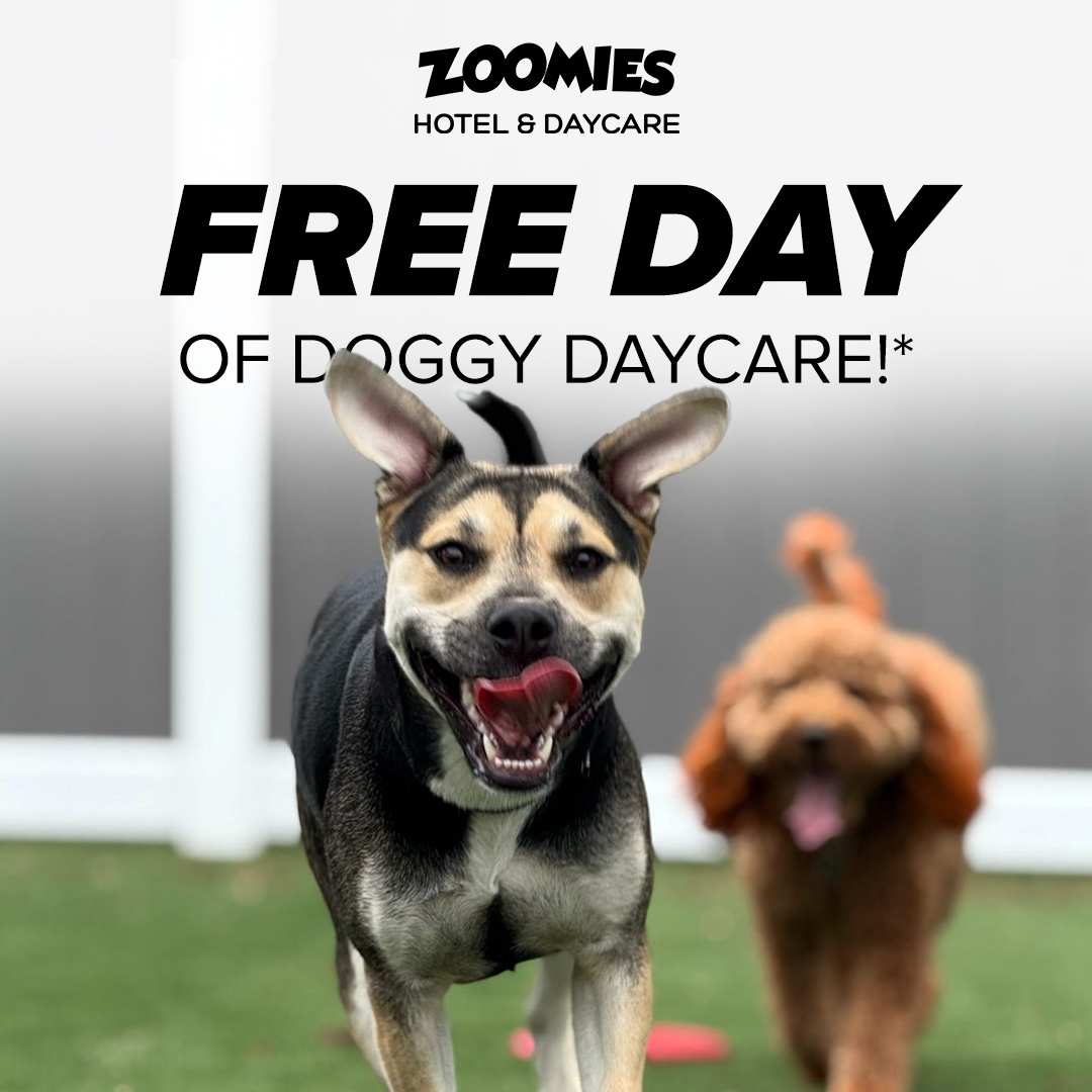 ZOOMIES Pet Hotel