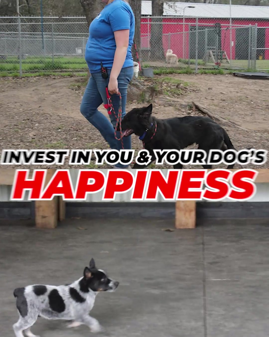 Fix Behavior While You Focus on Life 🤩👉