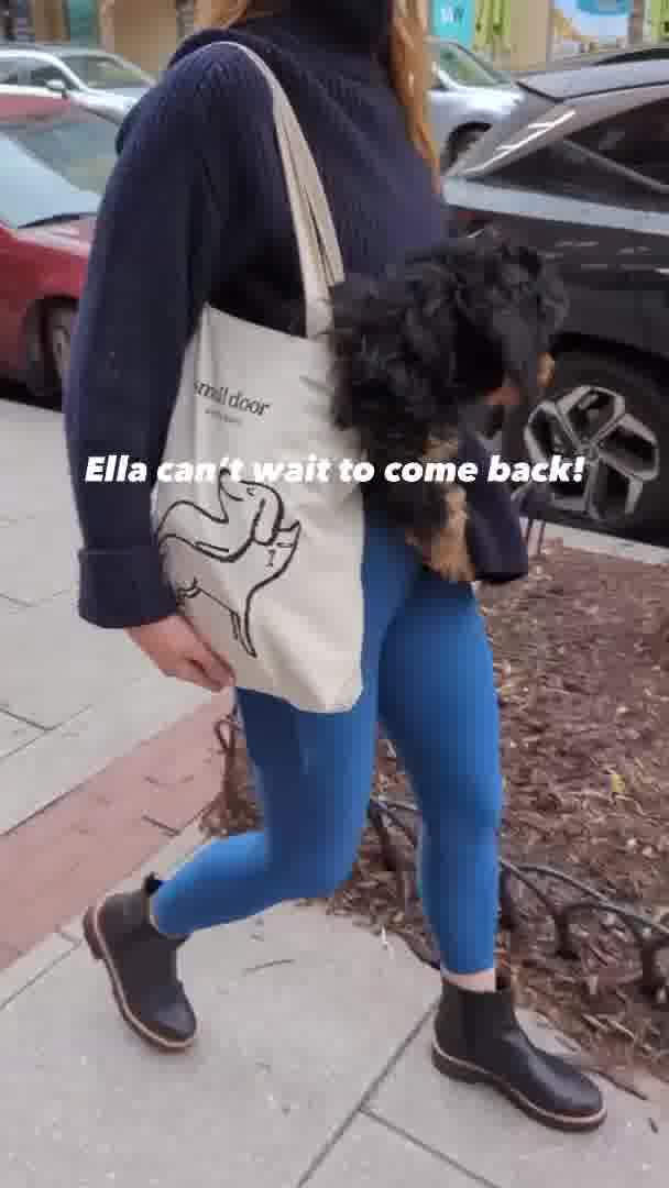 Navy Yard • 14th Street • Spring Valley • Bethesda