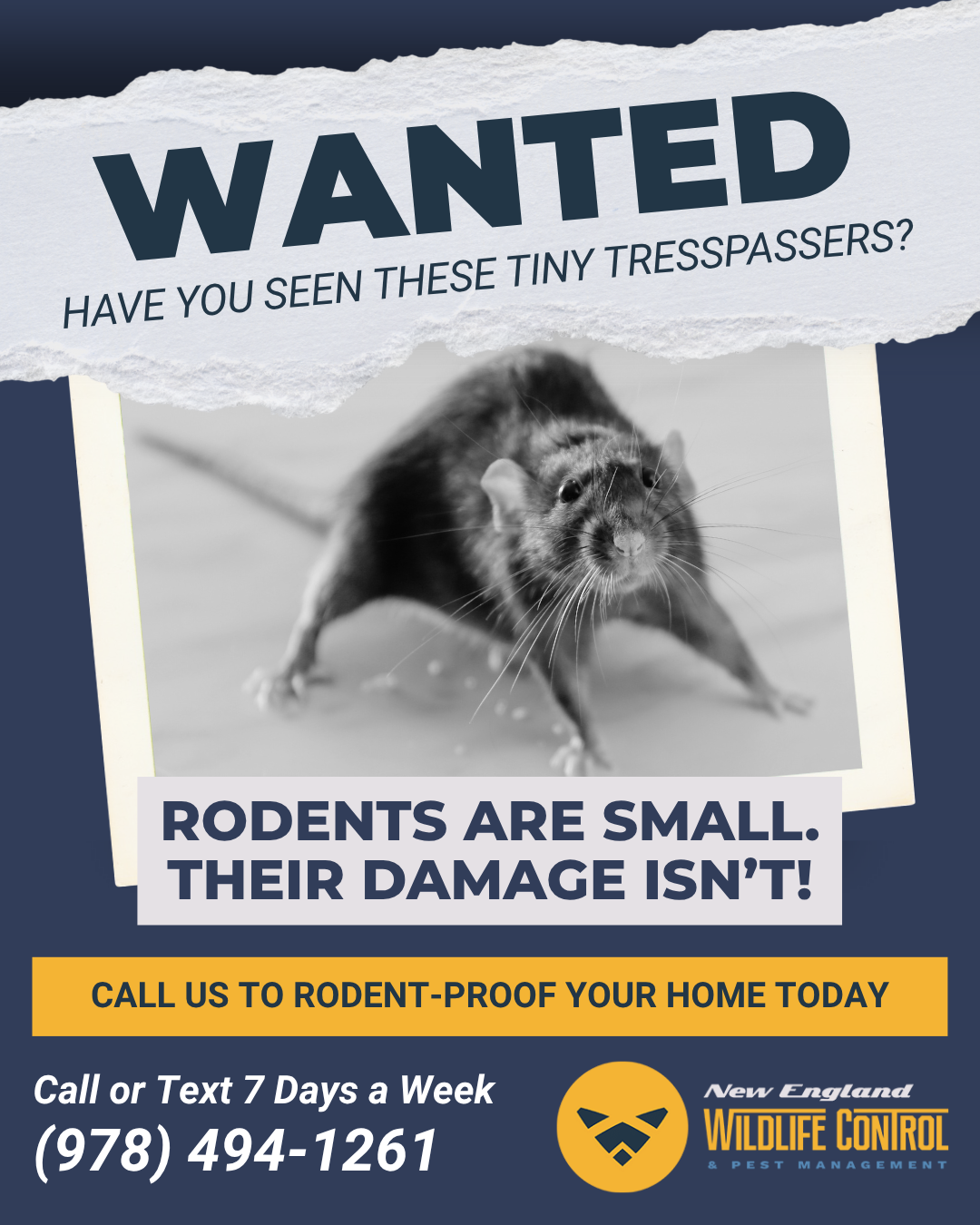 Rodents in Your Home? We're Here 7 Days a Week!