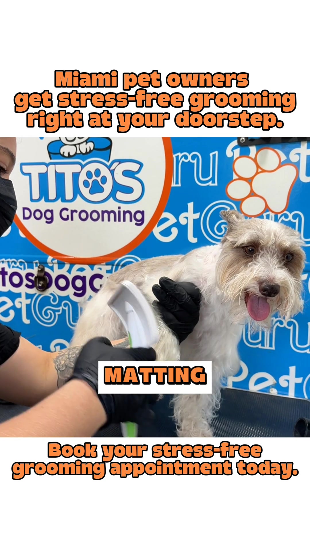 Don't Wait! Book Your Appointment Now!