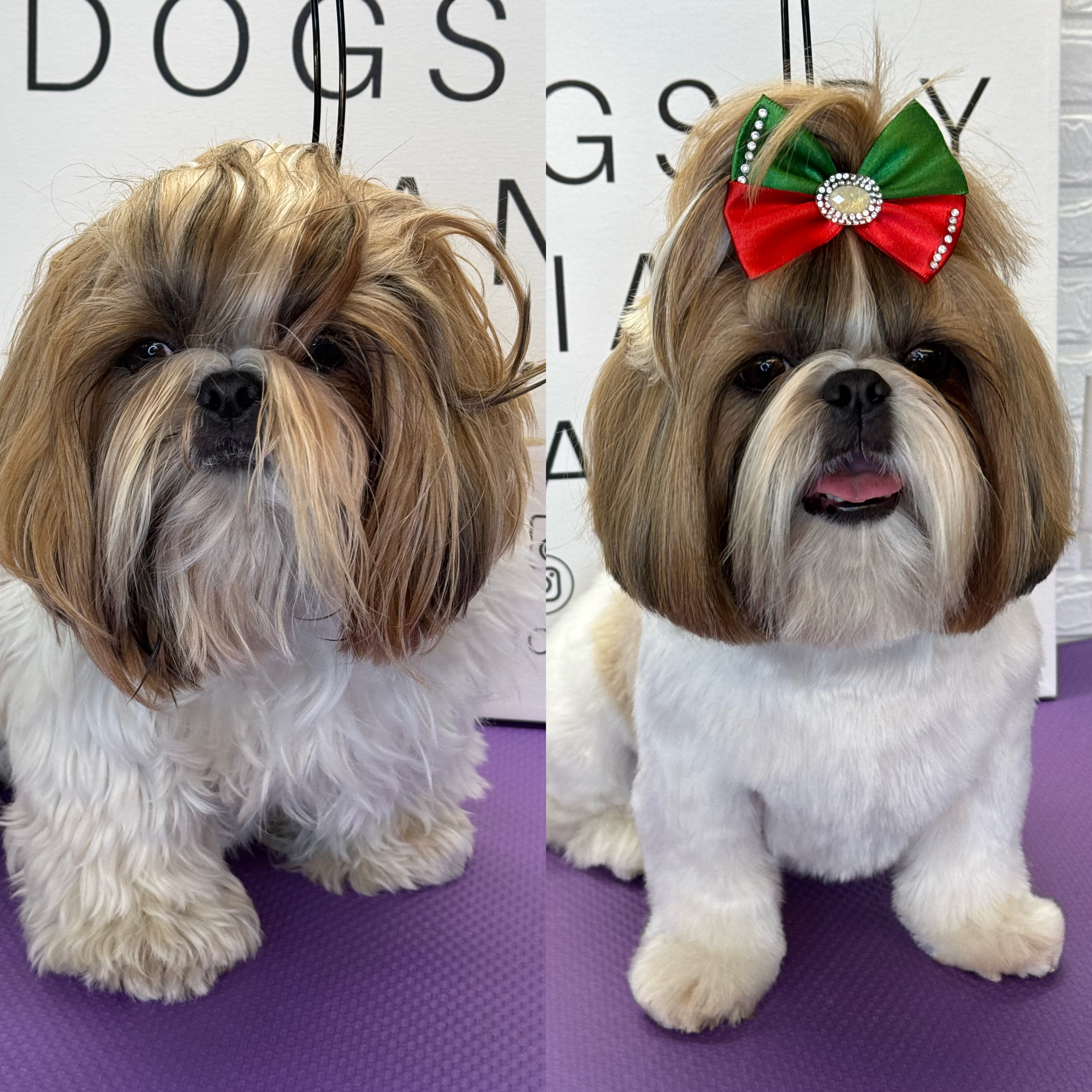 Request Your Grooming Appointment