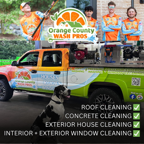 Rated 5 Stars ⭐️⭐️⭐️⭐️⭐️