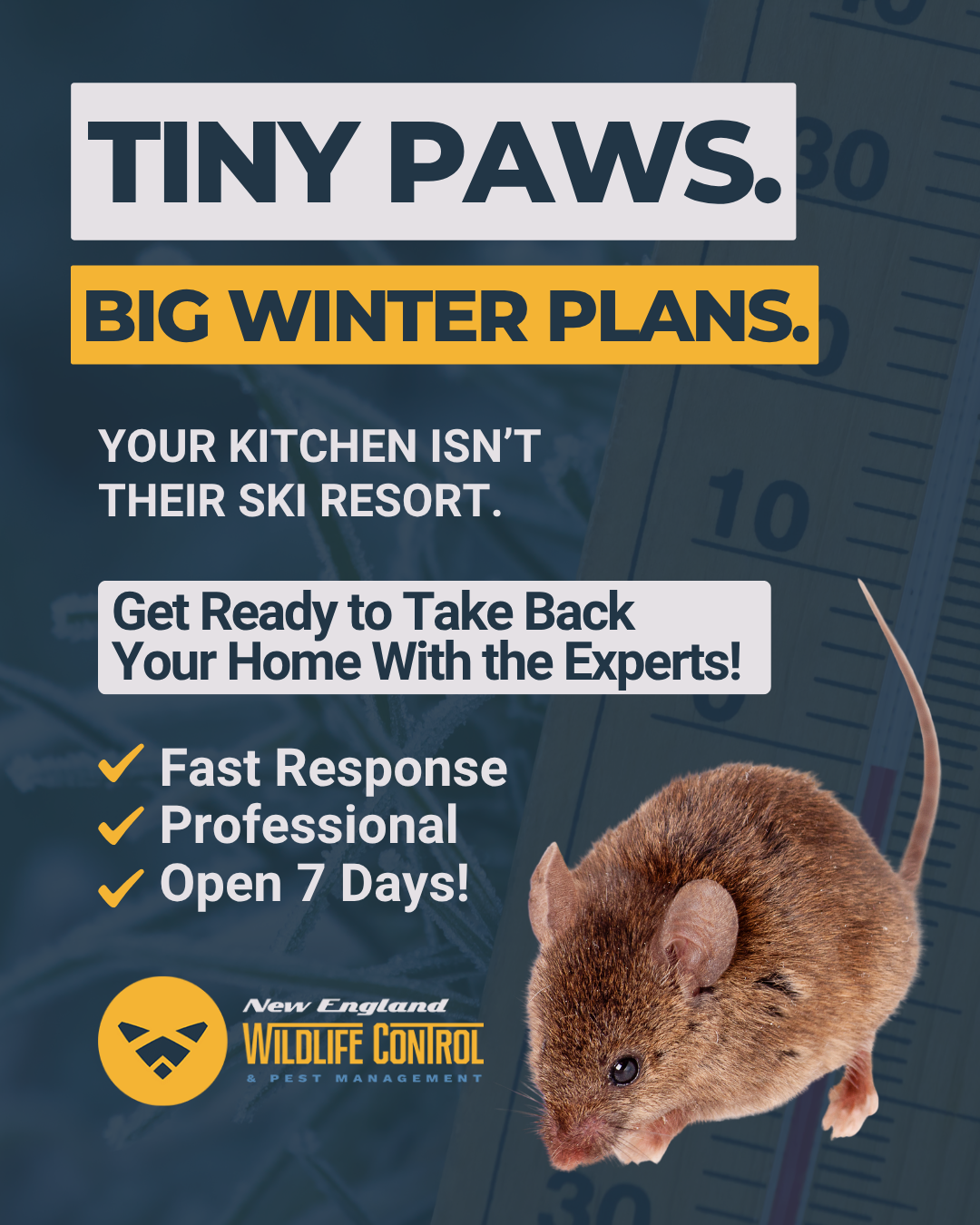 Rodents in Your Home? We're Here 7 Days a Week!