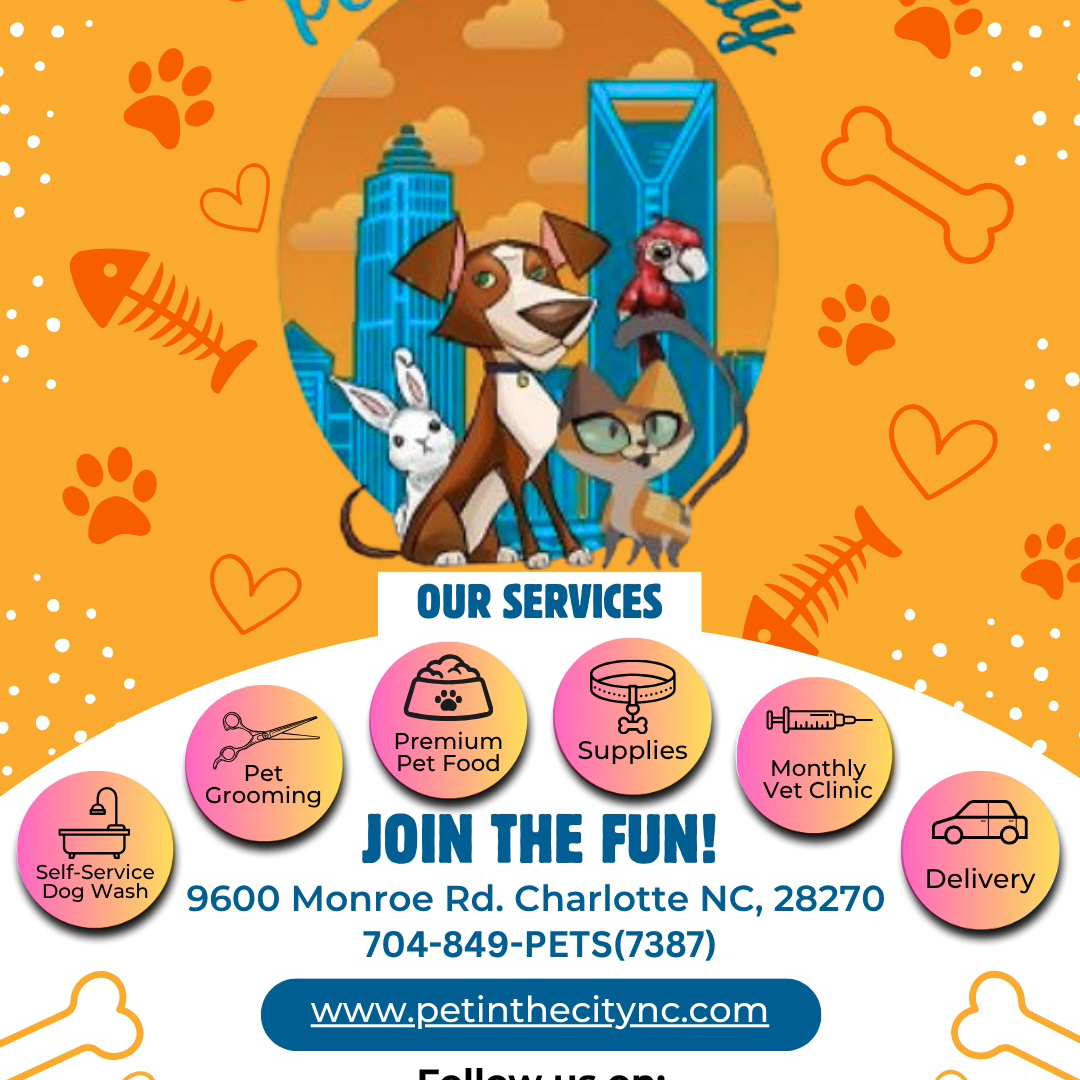 Pet In The City Local