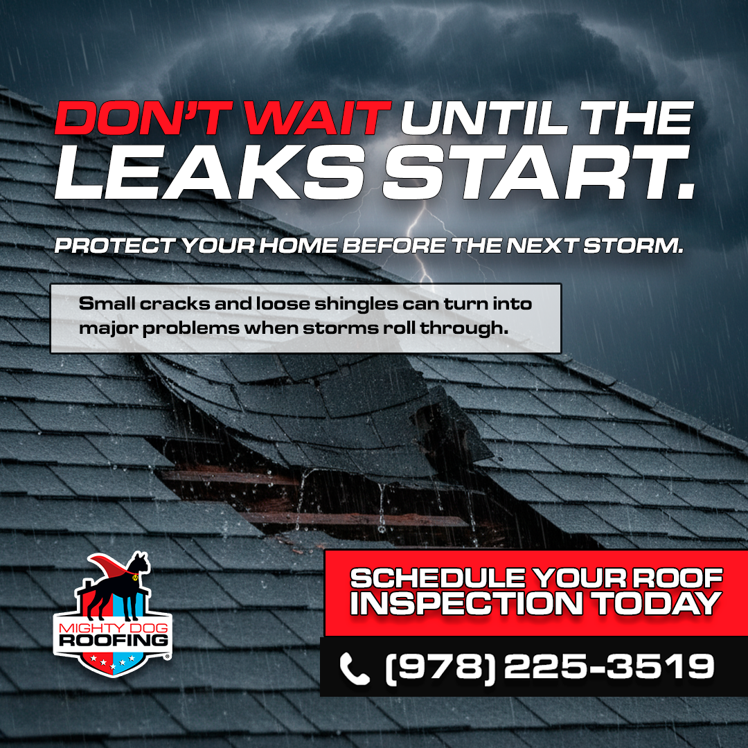 Mighty Dog Roofing of Greater Middlesex County Roofing ad creative