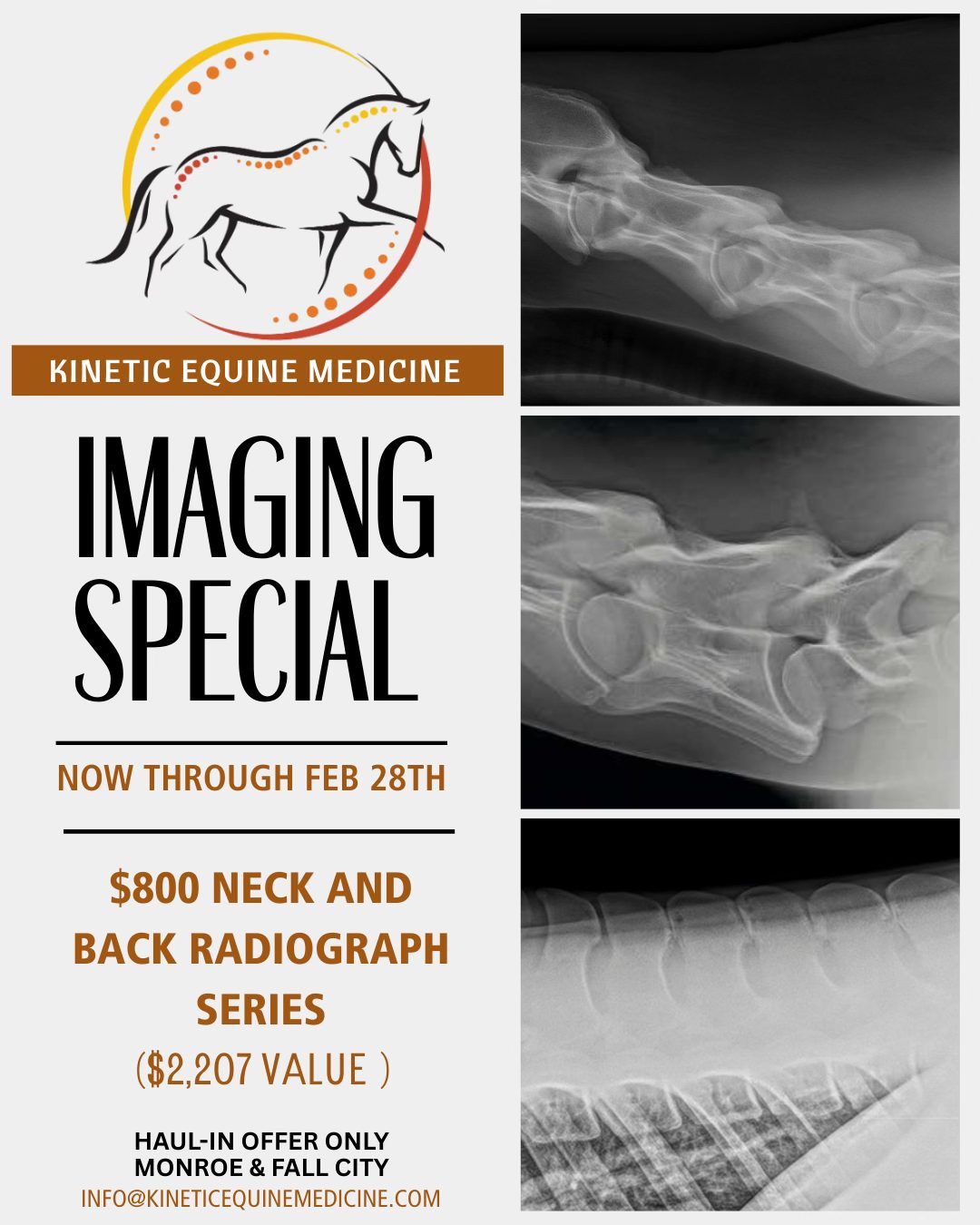 Kinetic Equine Medicine, LLC Veterinarian ad