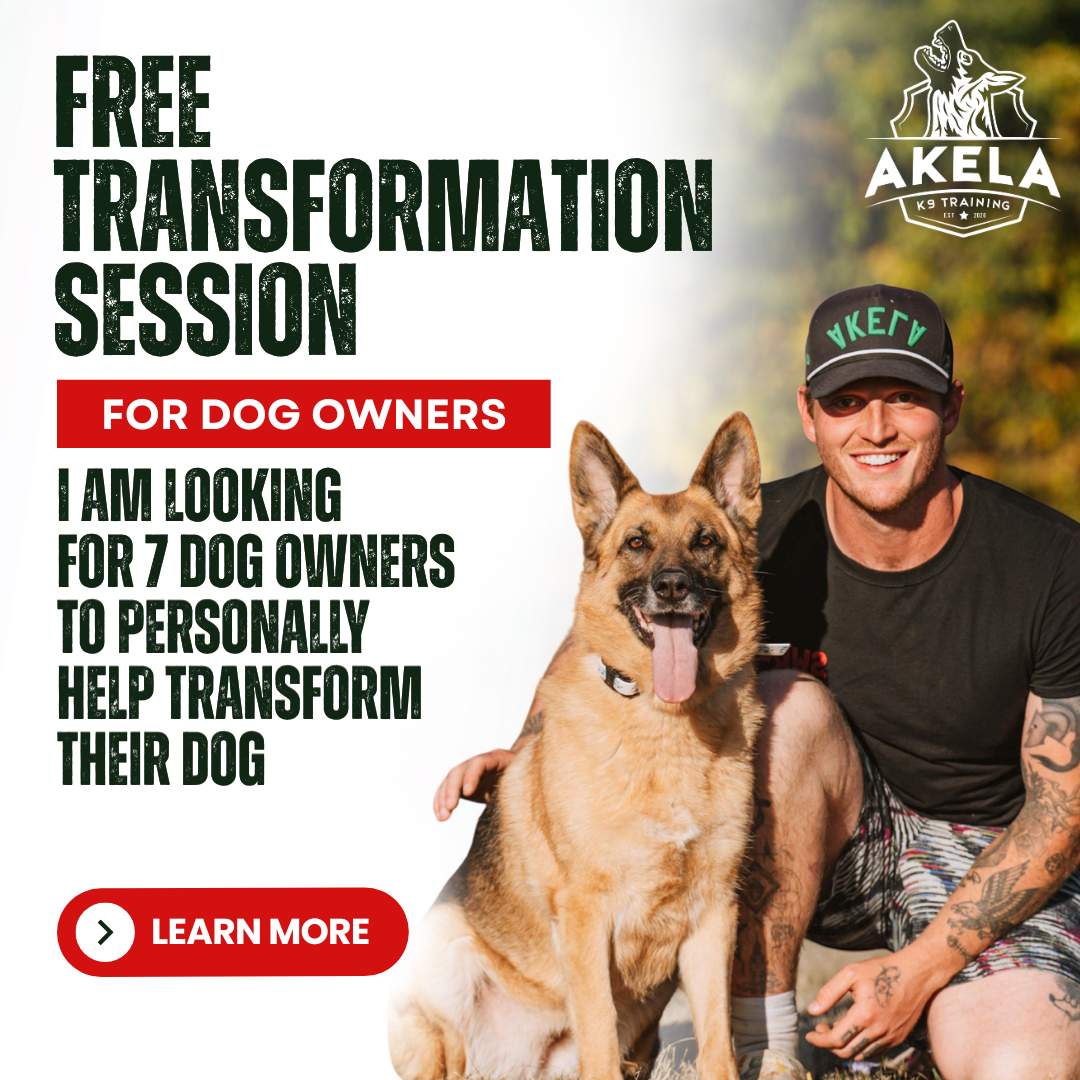 🗣️ Free Transformation Session for Elburn Dog Owners Struggling with...
