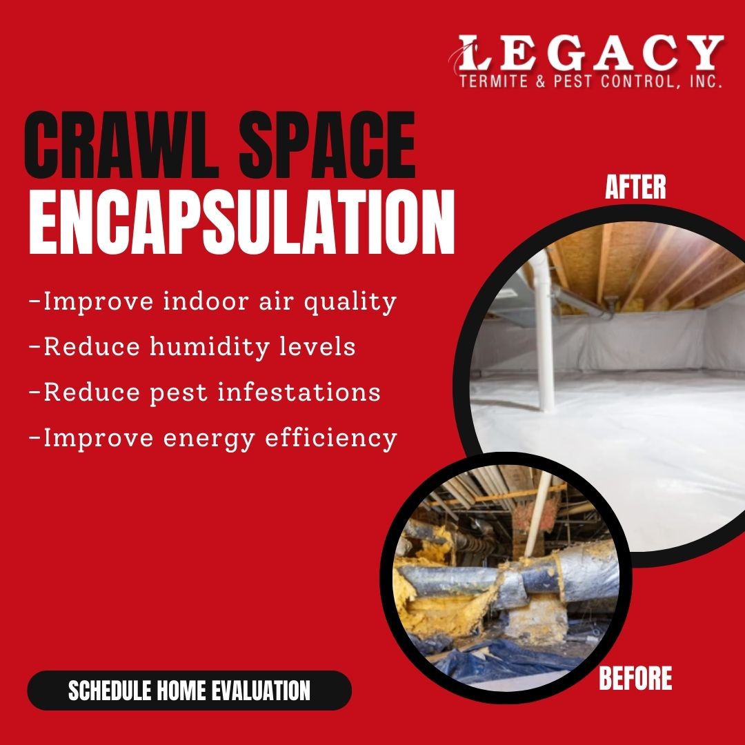 Schedule Your Crawlspace Encapsulation