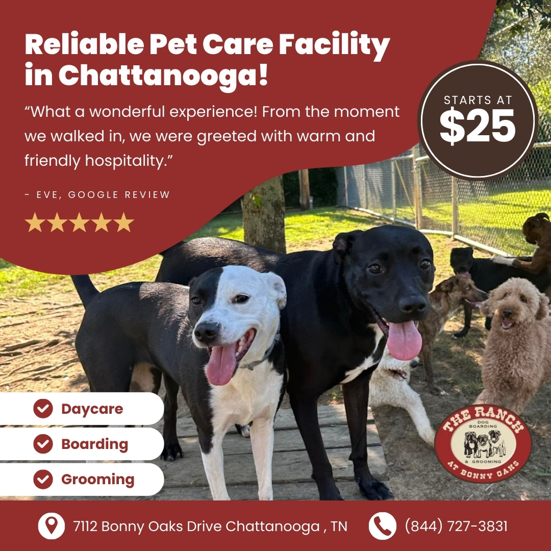 Today’s Pet Care Pick: The Ranch at Bonny Oaks