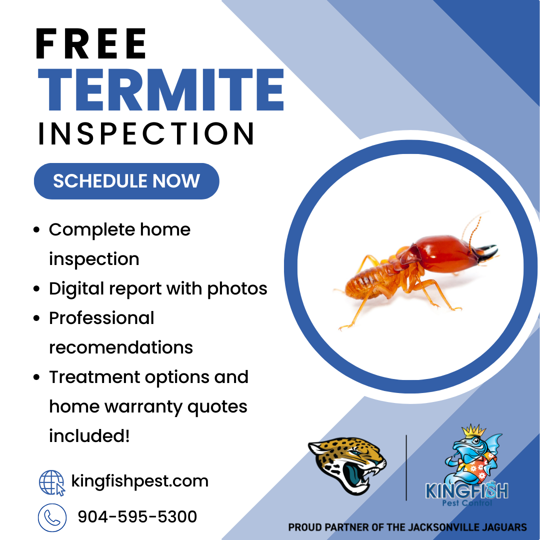 Free Termite Inspection