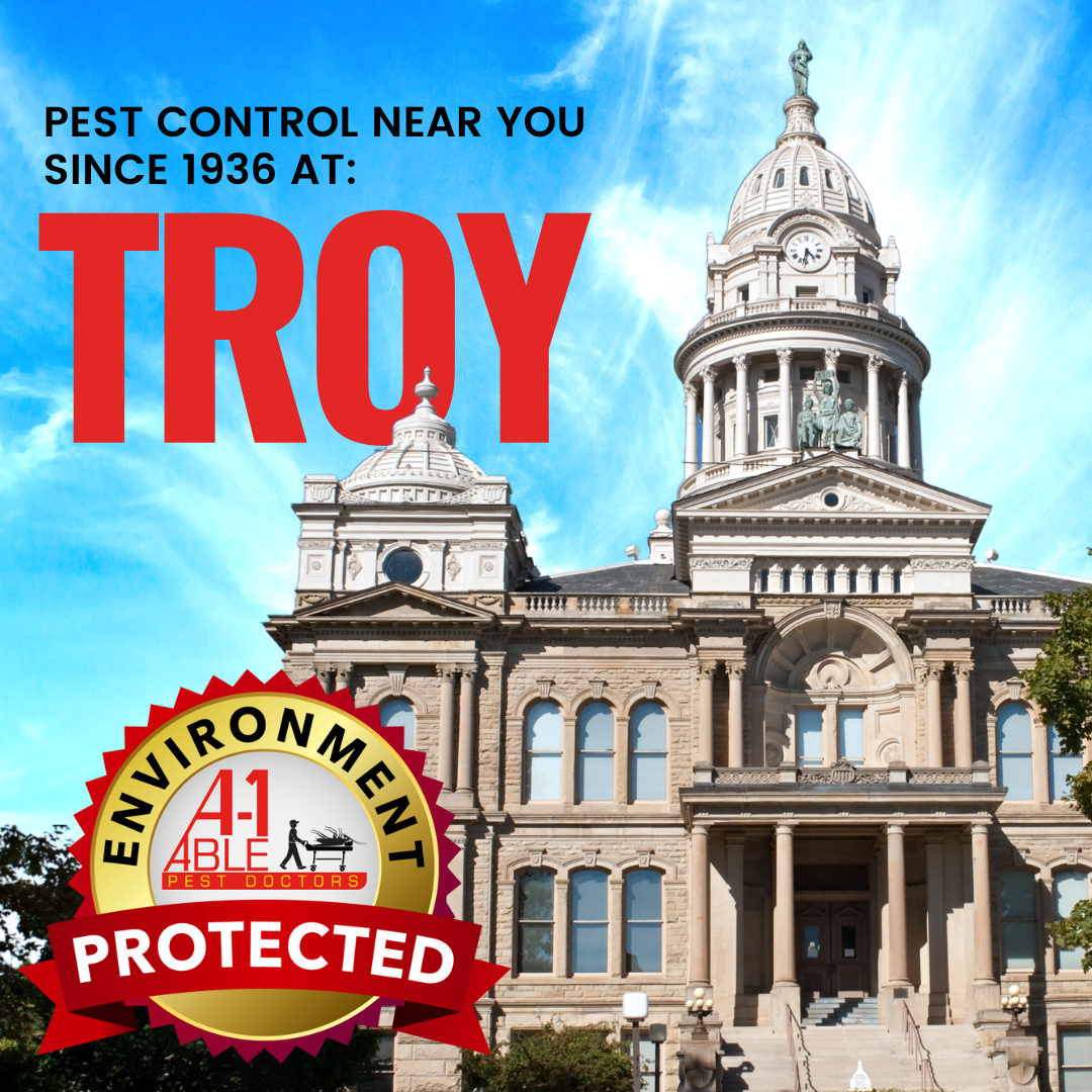 A1 Able Pest Doctors