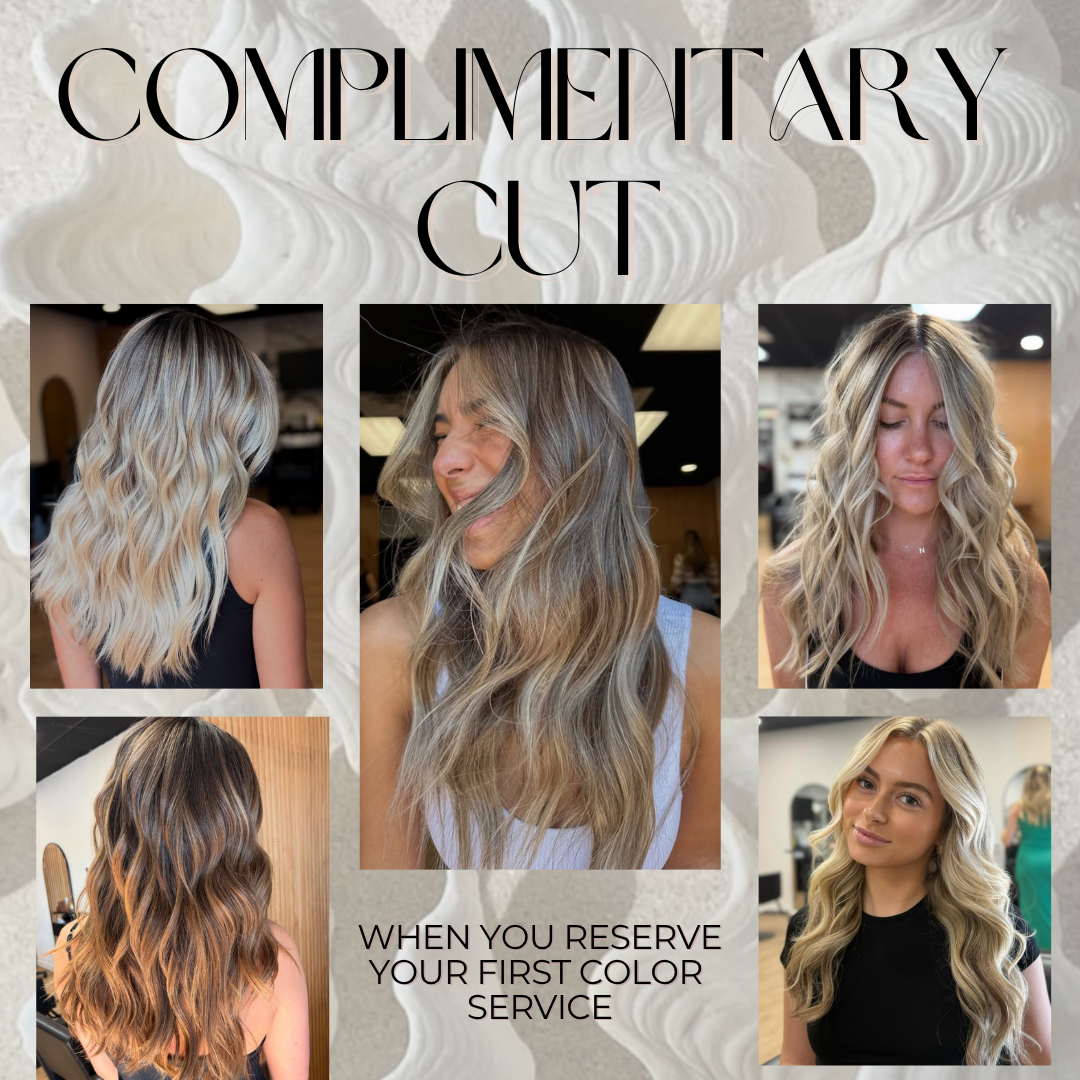 Balayage Blonde Salon Hair Salon ad creative