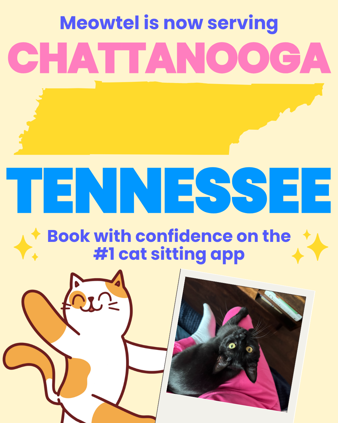 Find a loving cat sitter now