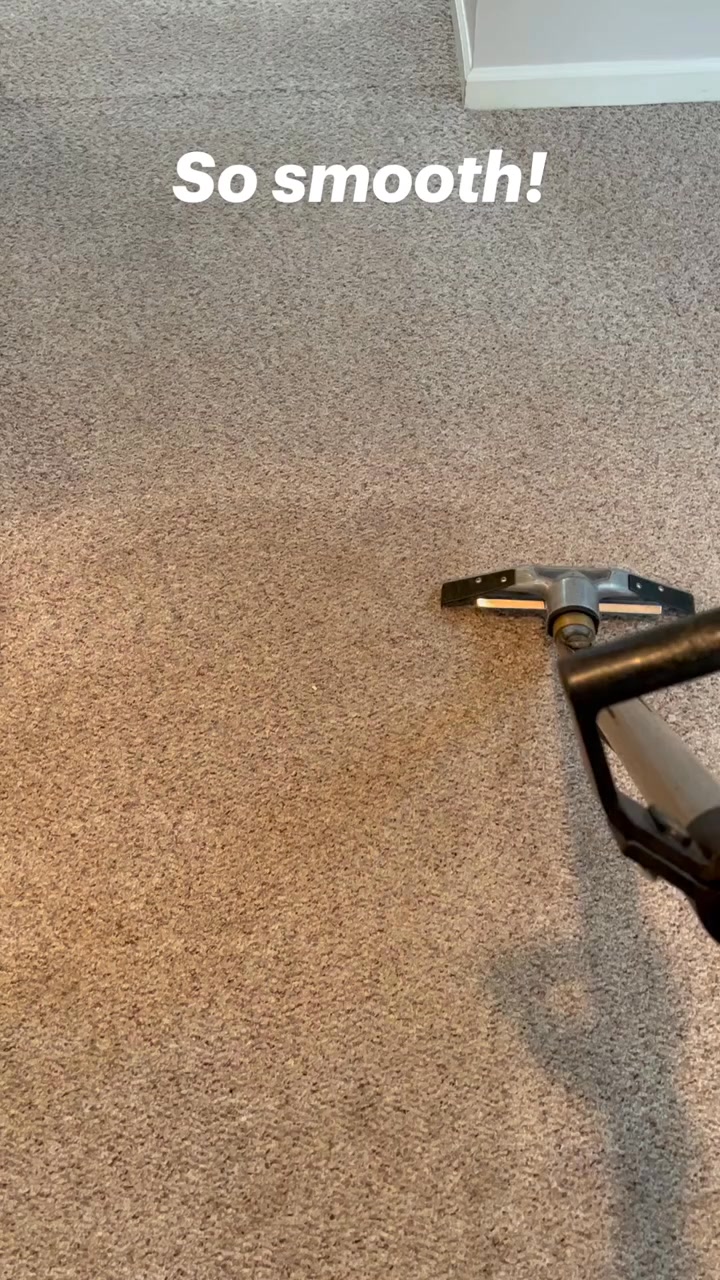 [SPECIAL OFFER] FREE Odor Treatment with 5 rooms cleaned for just $120!