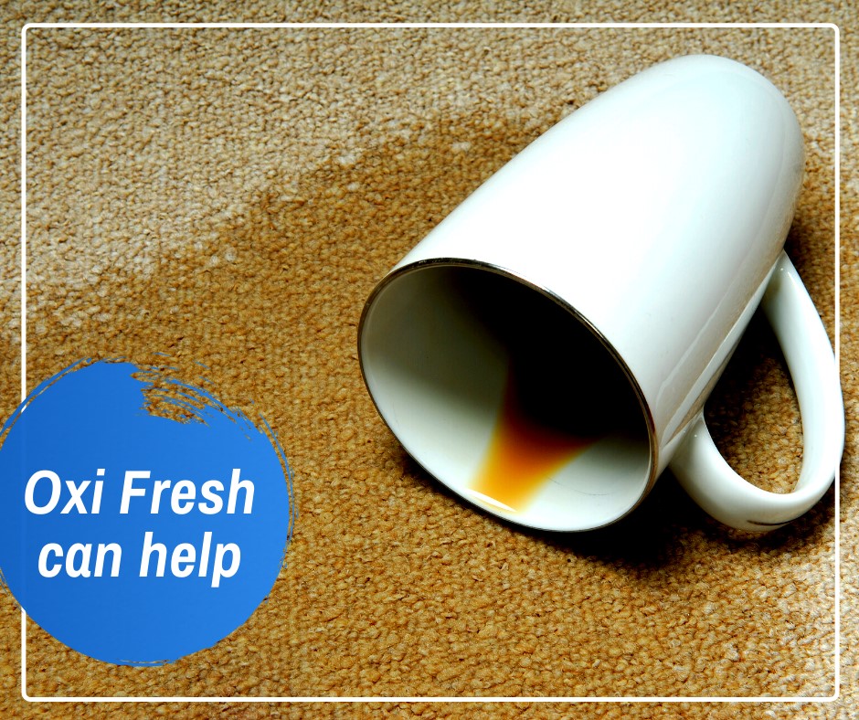 Oxi Fresh Carpet Cleaning
