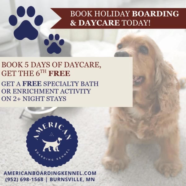 Check Out Our Holiday Specials!