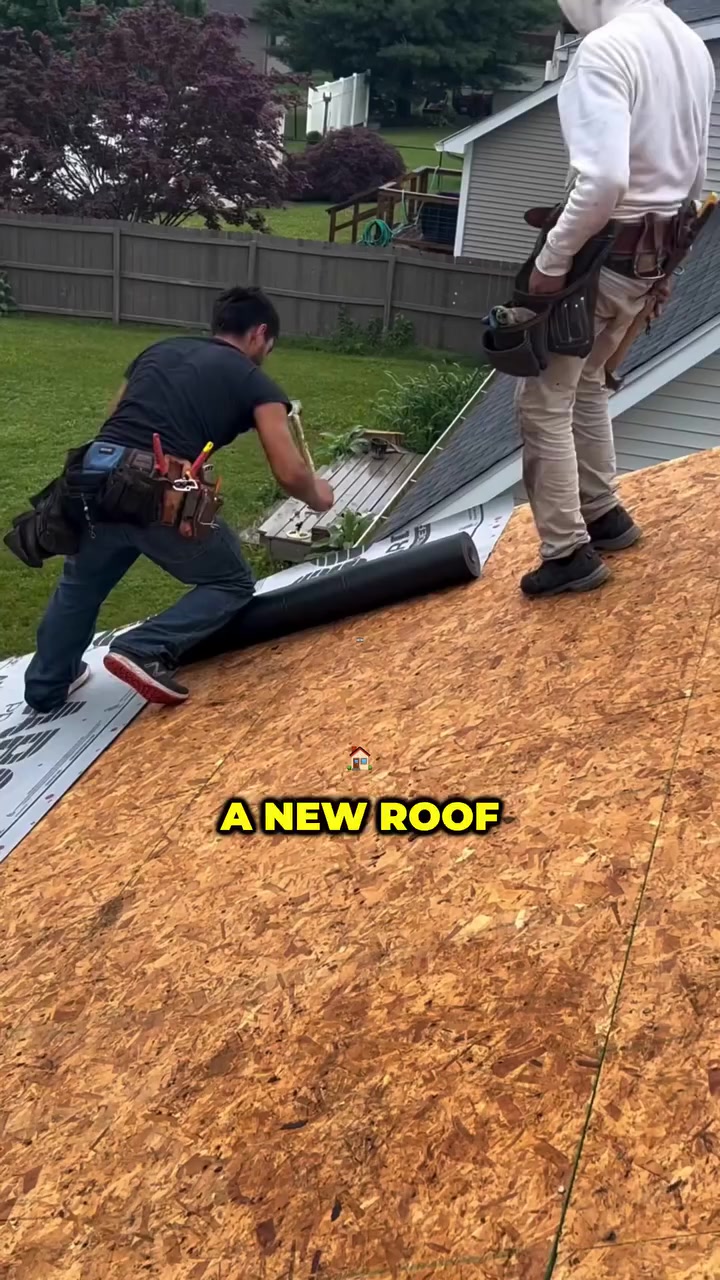 NexGen Roofing & Construction LLC Roofing ad creative