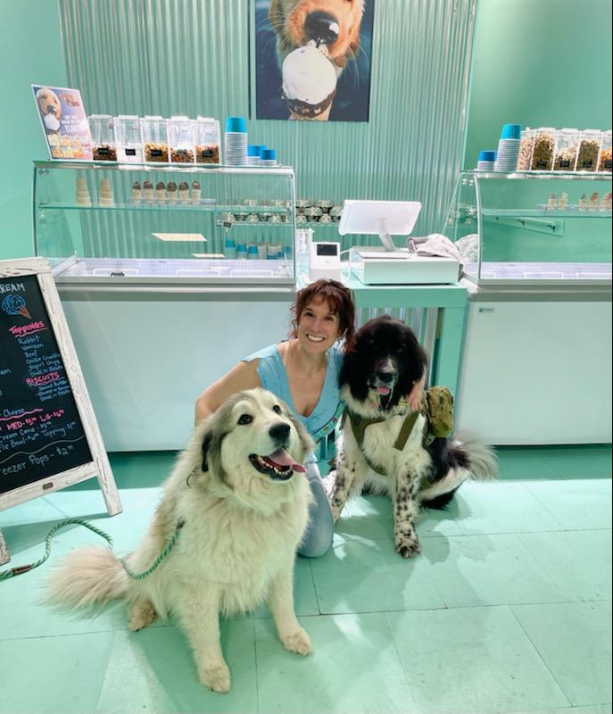 Your Dog's (Guilt-Free) Happy Place