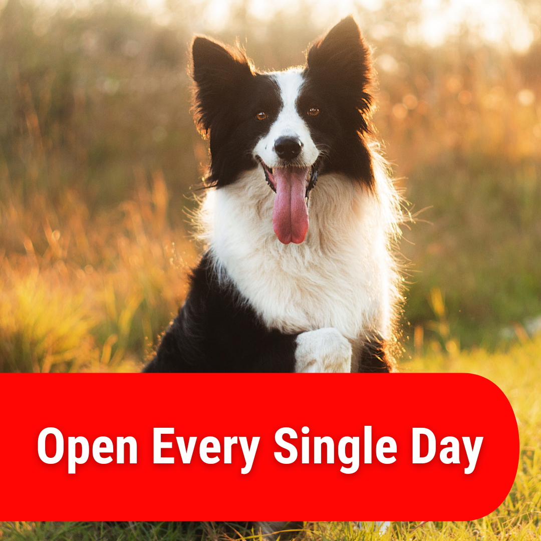 Uintah Pet Emergency Services