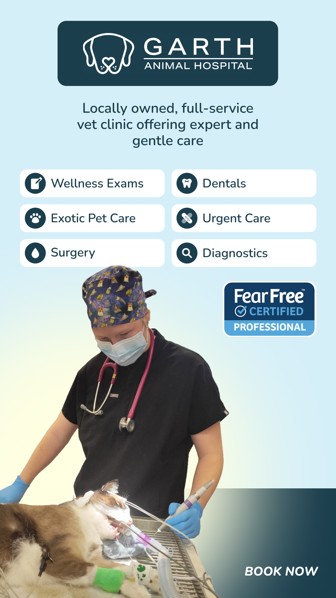 Personalized Veterinary Care from a Solo Doctor