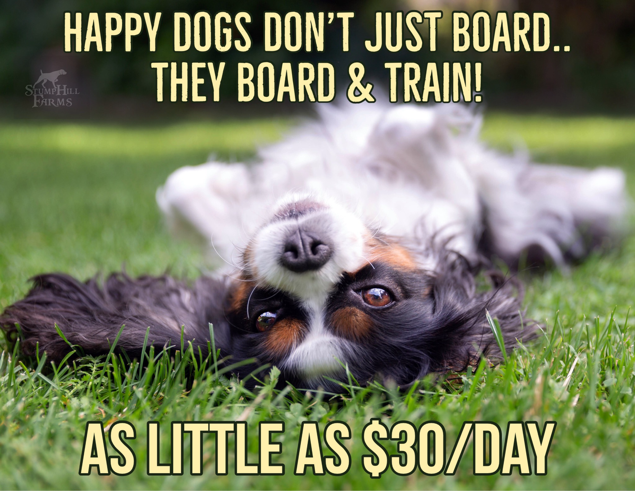 Hurry! Spaces Limited