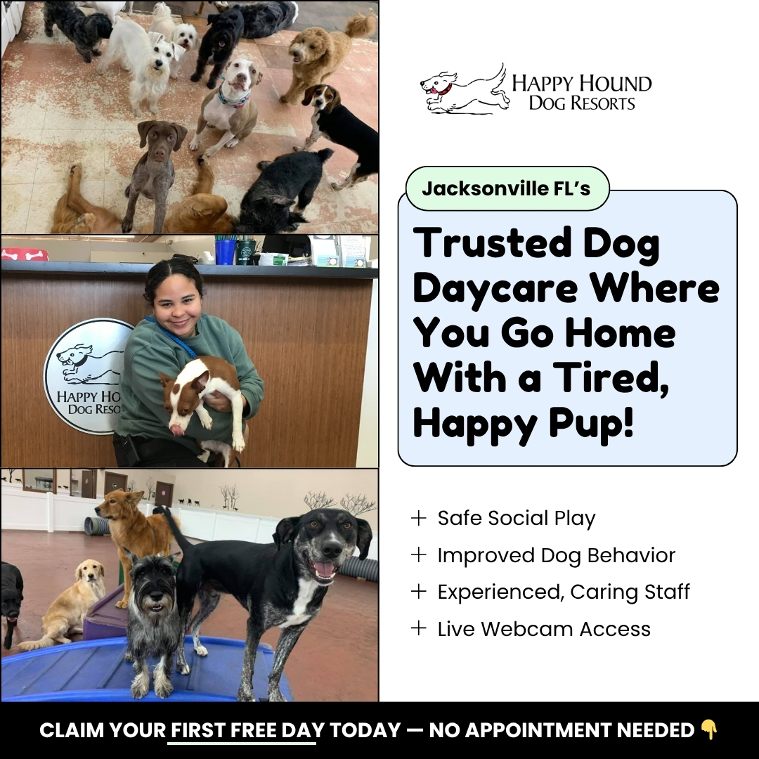 Daycare With Peace of Mind