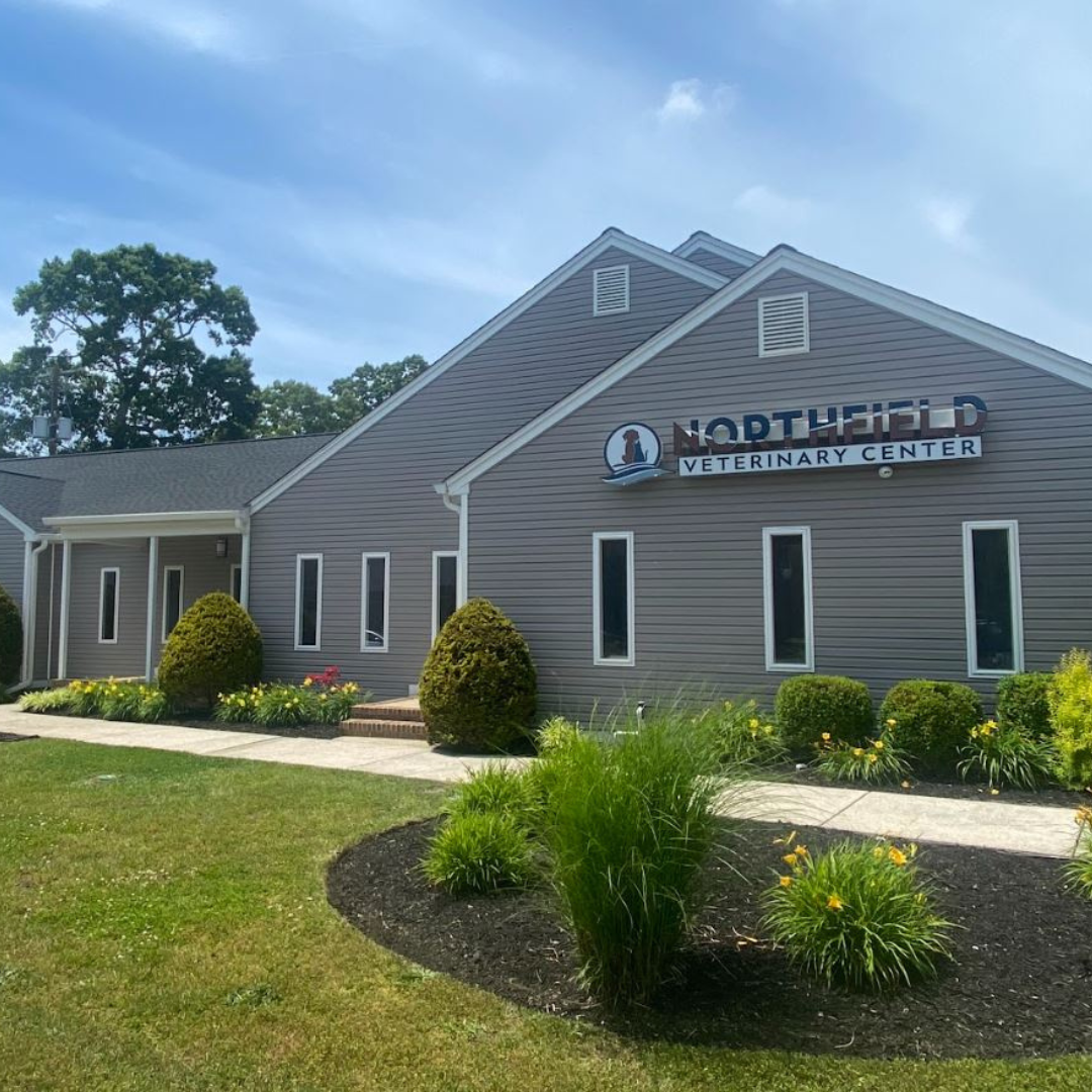 Animal ER - Open Late Night