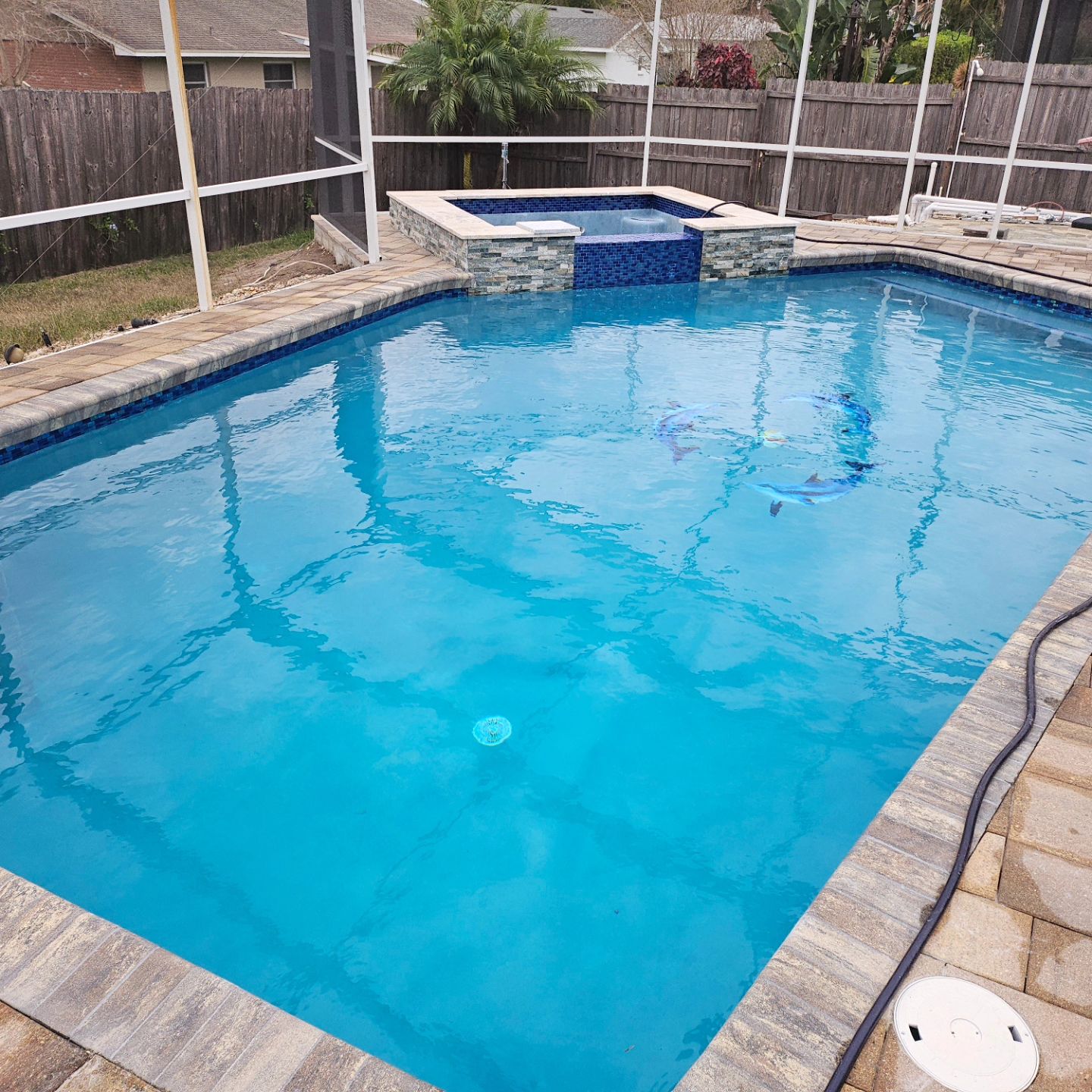 Florida Aquascapes Pool Service ad creative