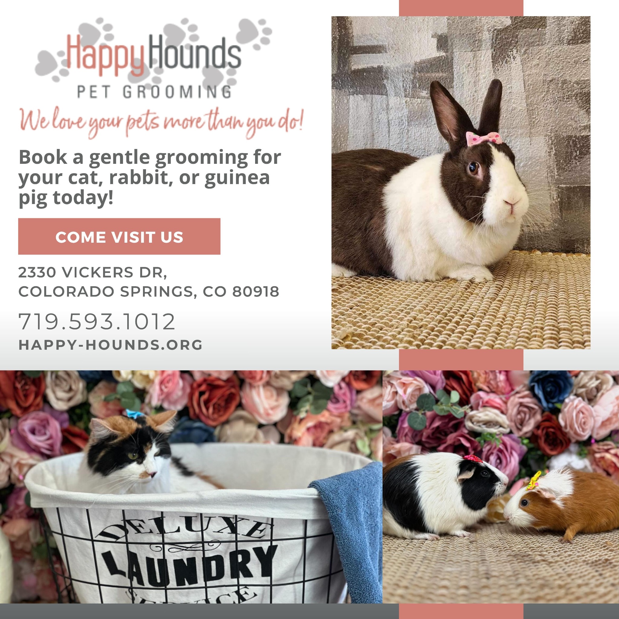 Happy Hounds Pet Grooming Pet Grooming ad creative