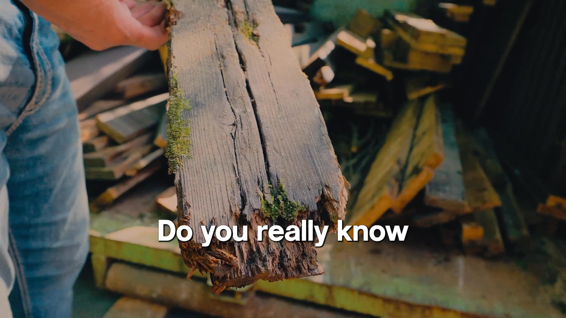 Your Deck Might Be Failing — Find Out for Free