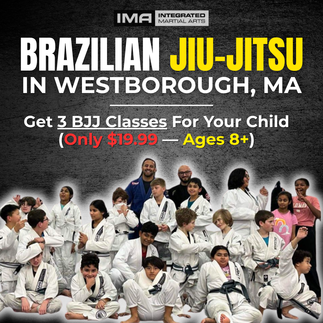 Integrated Martial Arts Westborough Martial Arts ad creative