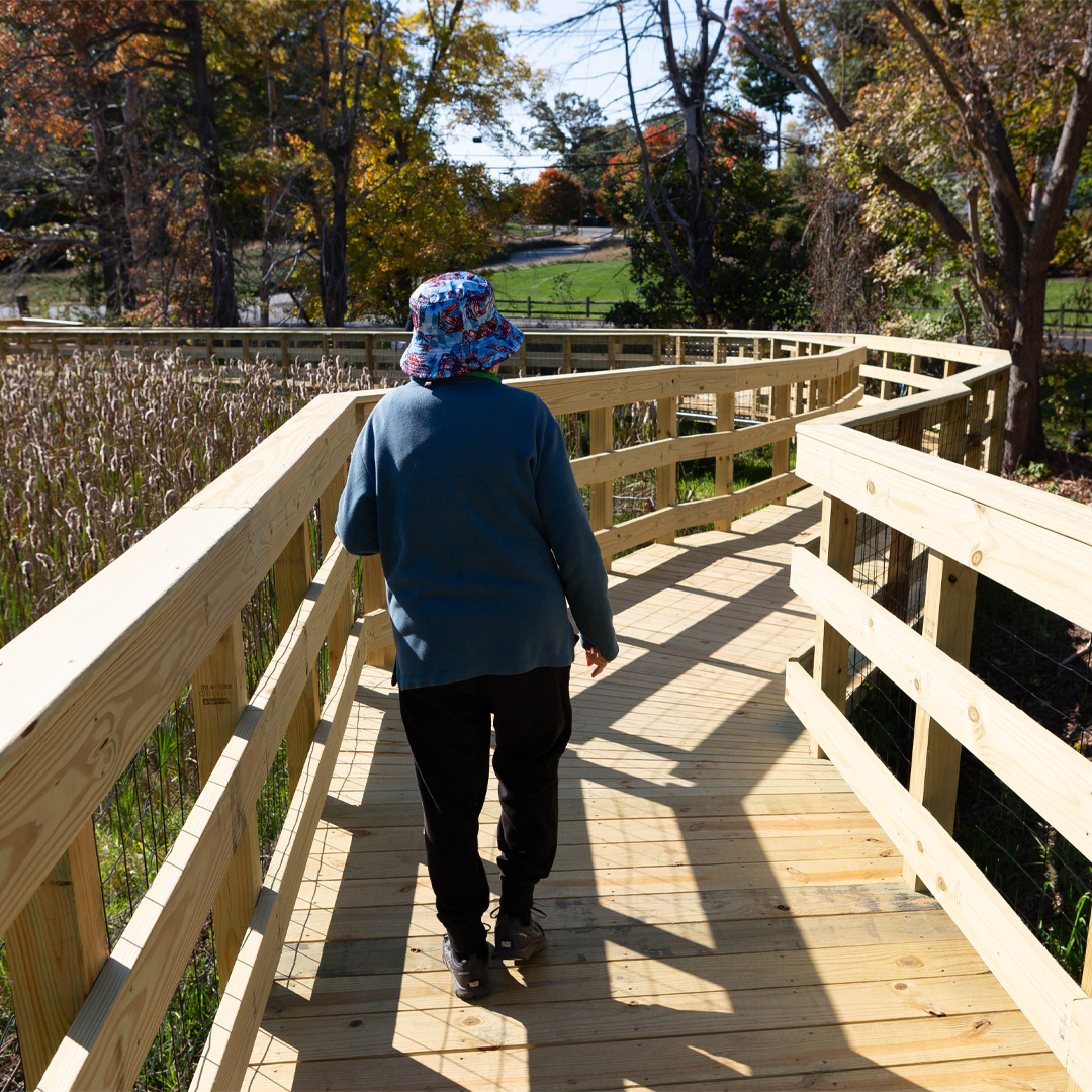 Newbury Court Home Health Care ad creative