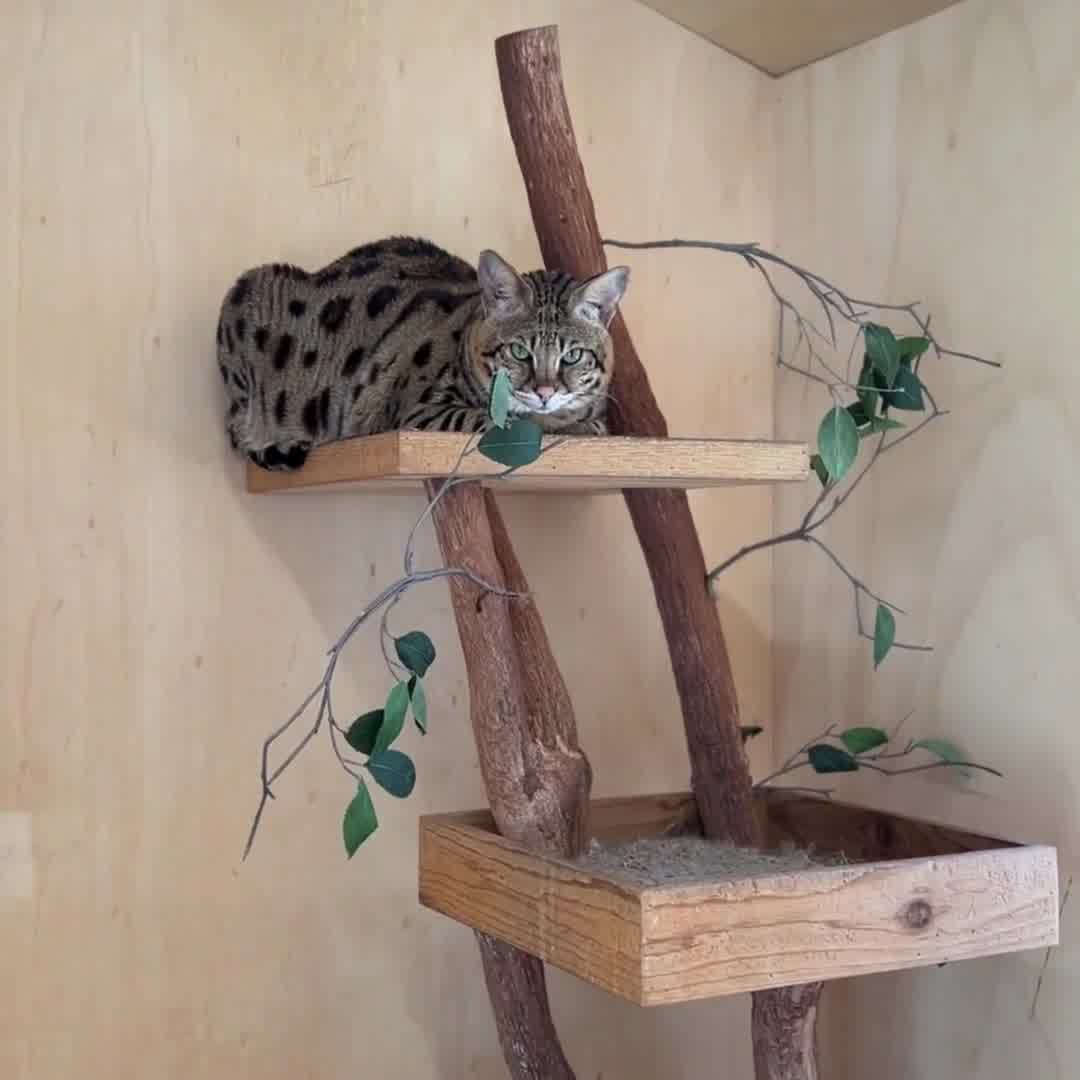 Get 50% Off Their First Stay