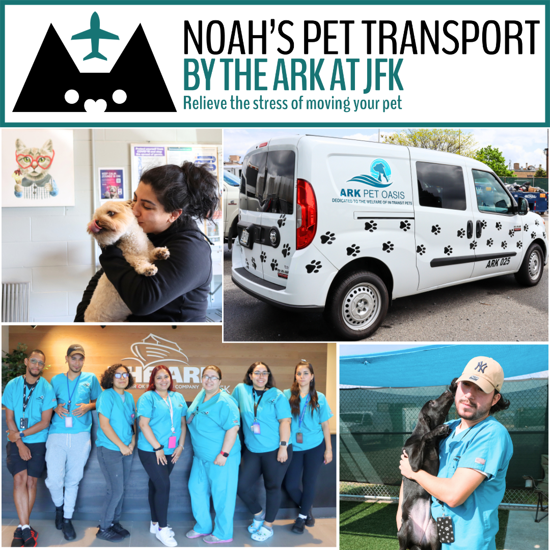 Get Your Free Pet Shipping Quote 🐾✈️